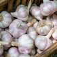 Conventionally Grown Garlic, Siberian (lb)