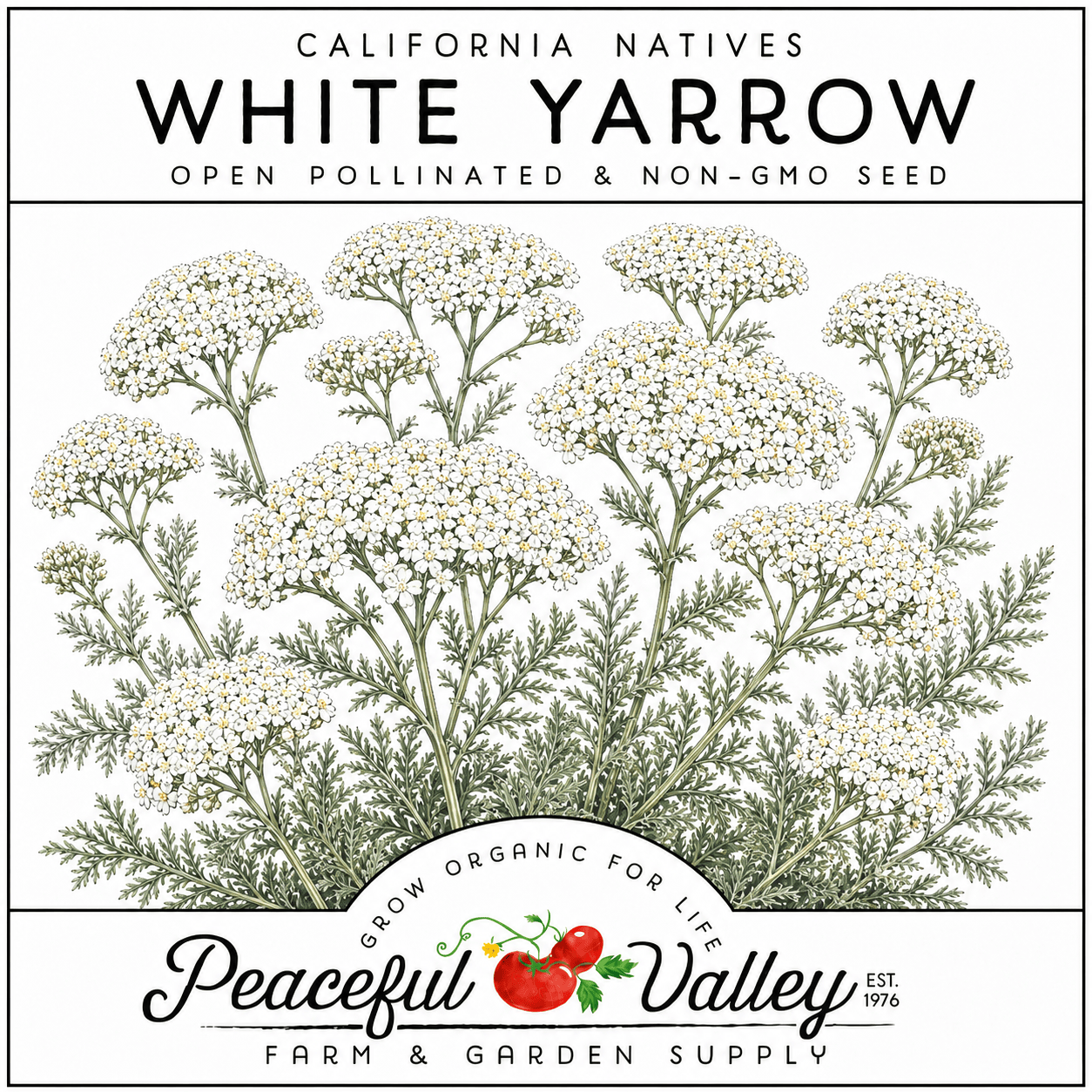 Peaceful Valley California Natives Stickers White Yarrow Grow Organic