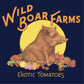 Brad's Atomic Grape Tomato By Wild Boar Farms