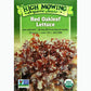 Red Oakleaf Lettuce Seeds (Organic) High Mowing Seeds
