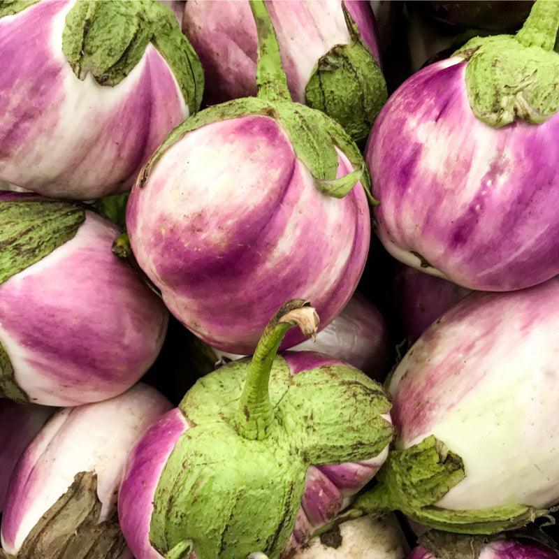 determina garden 200pcs rare eggplant seeds garden plants organi Rosa Bianca Eggplant
