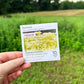 Hudson Valley Seed Company PollinateHV Boneset organic seed packet