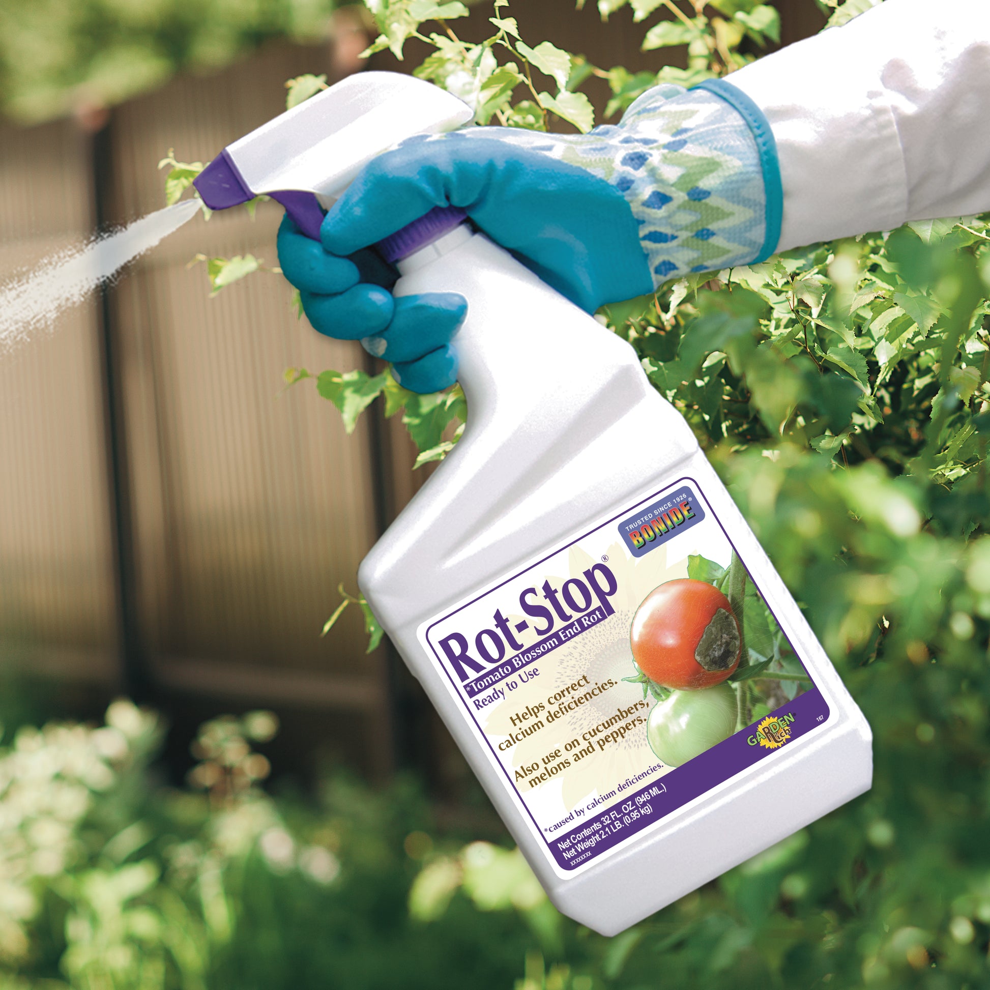 Applying Bonide Rot-Stop Ready-to-Use foliar spray in a garden