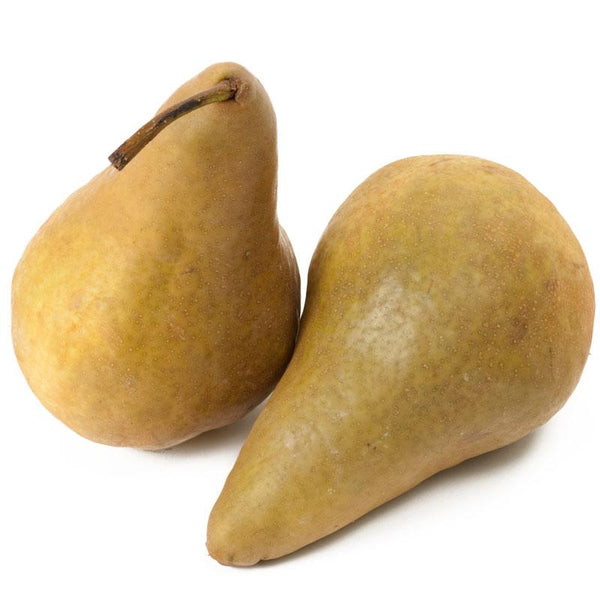 https://www.groworganic.com/cdn/shop/files/bosc-pear-tree-european-type-semi-dwarf_grande.jpg?v=1693505662