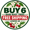 Buy 6 bare root trees and receive free shipping in the lower 48