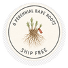 Buy 6 qualifying perennial bare roots and receive free standard shipping in the Lower 48