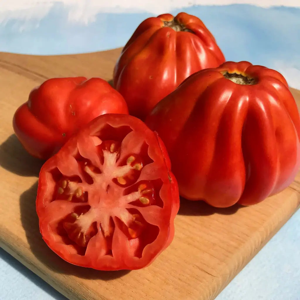 Ripe ribbed Canestrino di Lucca tomatoes with one sliced open
