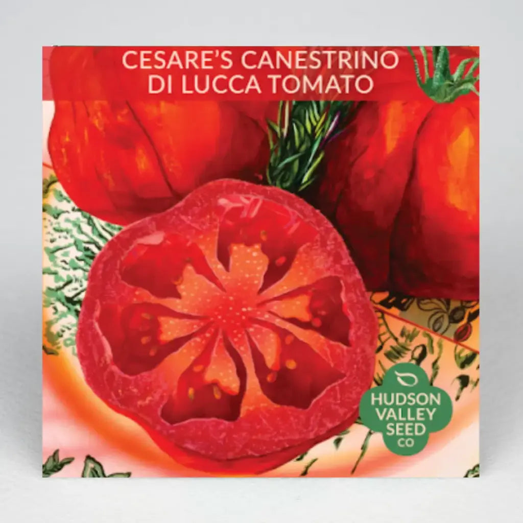 Hudson Valley Seed Company Cesare's Canestrino di Lucca Tomato seed packet