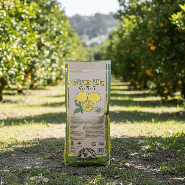 citrus plant fertiliser Citrus Fertilizer