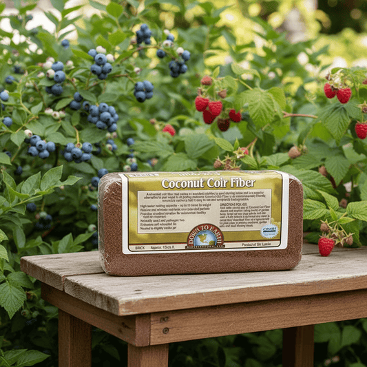 Coco Peat (700 g Brick) Down to Earth