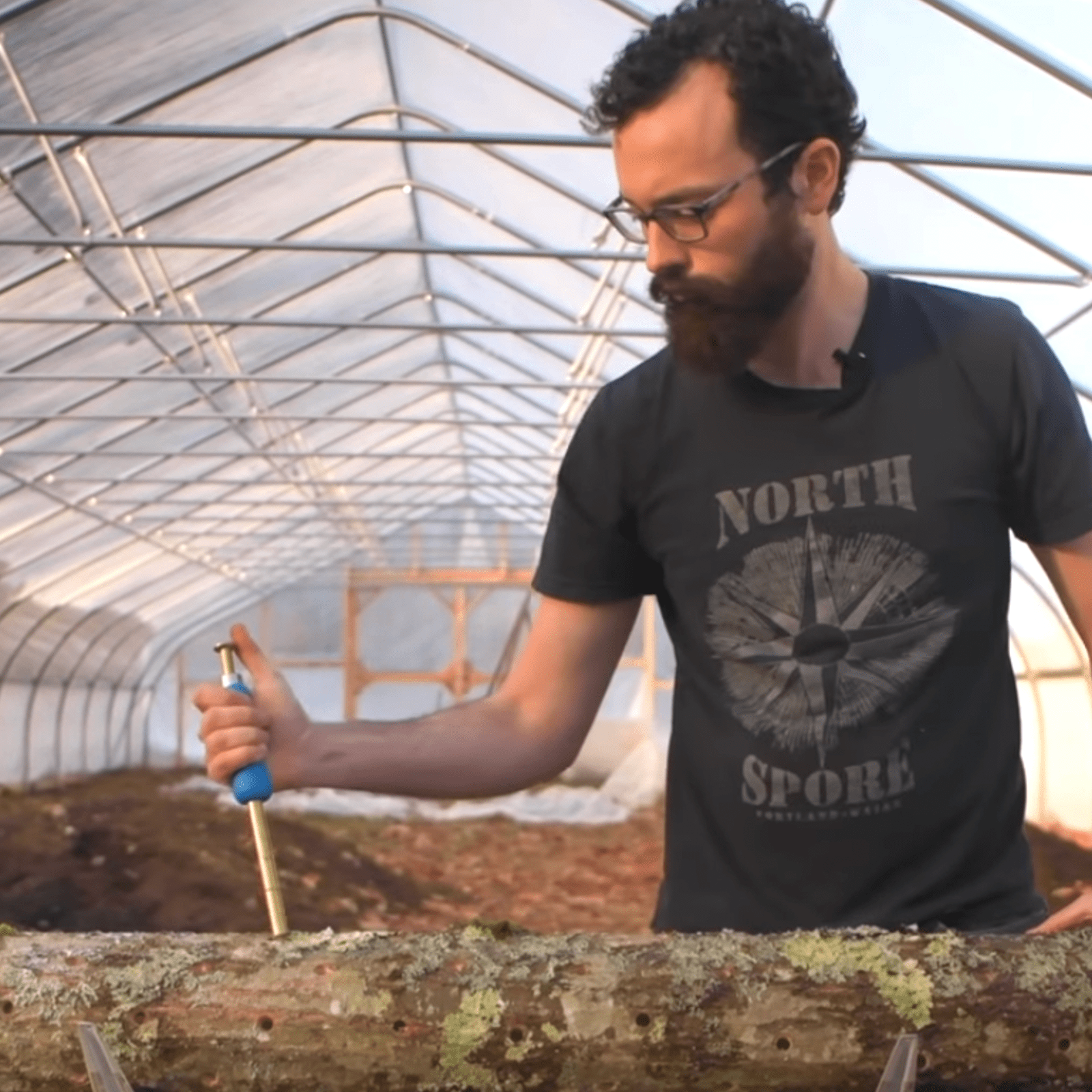 Sawdust Spawn Thumb Press Log Inoculation Tool North Spore