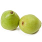D'Anjou Pear Tree