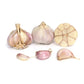 Conventional Jachlo Garlic (lb) (STORE ONLY) August's Harvest