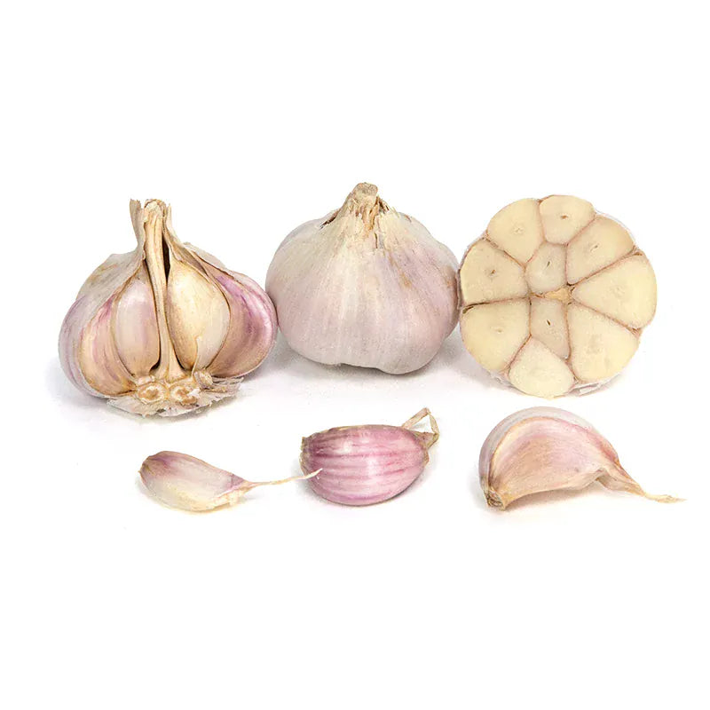 Conventional Jachlo Garlic (lb) (STORE ONLY) August's Harvest