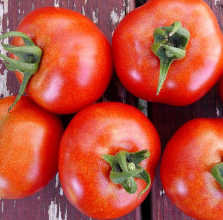 Southern Exposure Glacier Tomato Seeds
