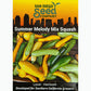 Melody Mix Summer Squash Seeds San Diego Seed Company