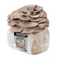 Organic Italian Oyster Mushroom Grow Kit Fruiting Block North Spore