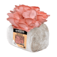 Organic Pink Oyster Mushroom Grow Kit Fruiting Block North Spore