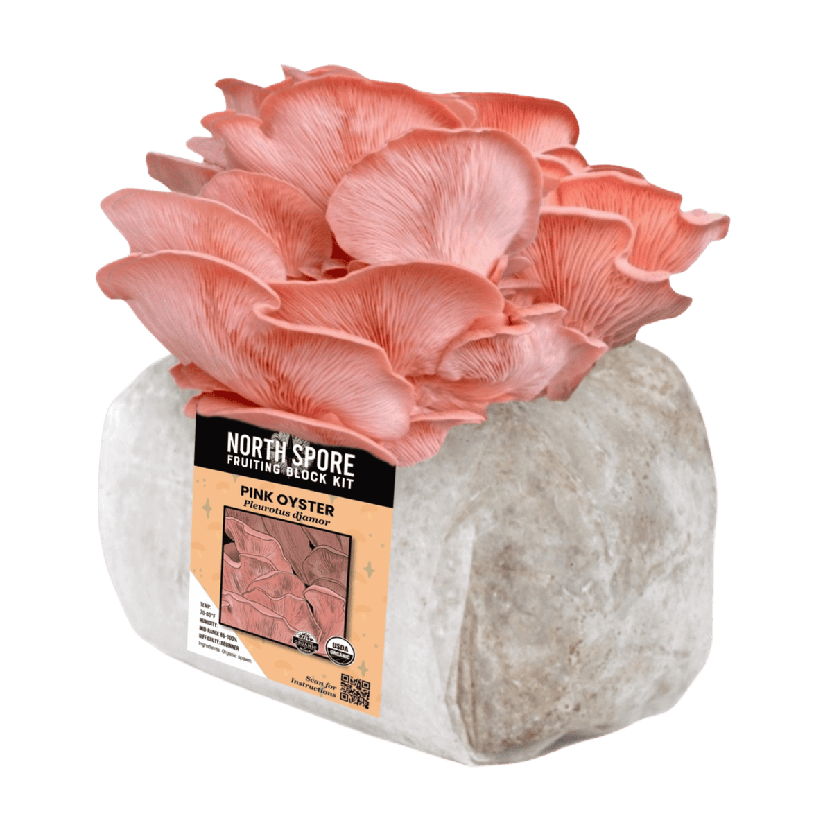 Organic Pink Oyster Mushroom Grow Kit Fruiting Block North Spore