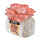 Organic Pink Oyster Mushroom Grow Kit Fruiting Block North Spore