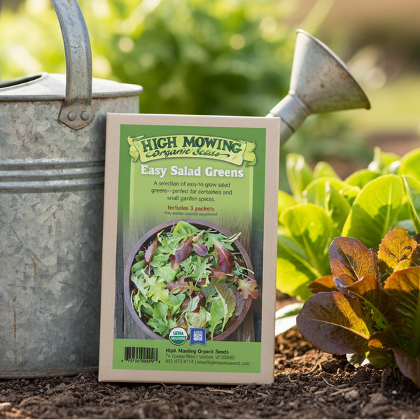 plant salad seeds Easy Salad Greens Collection