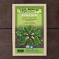 Organic Kitchen Herbs 5 Seeds Packets High Mowing Seeds