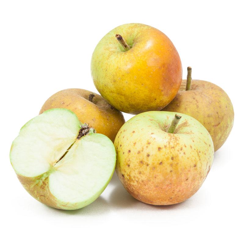 Organic GoldRush Semi-Dwarf Apple Tree - Fruition Seeds