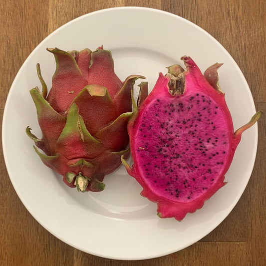 Halley's Comet Wallace Ranch Dragon Fruit