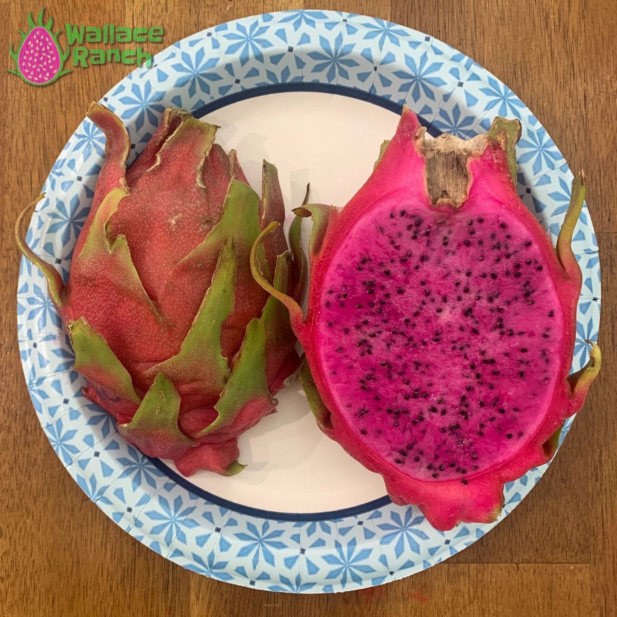 Halley's Comet Wallace Ranch Dragon Fruit