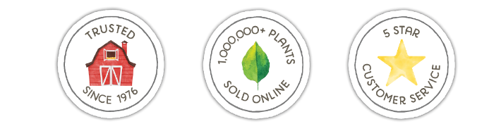 home page trust badges