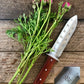 Gardening Gift Box - Complete Classic Tool Kit The Celtic Farm