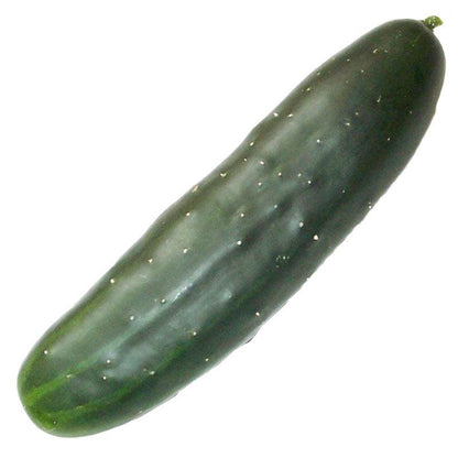 Marketmore 76 Cucumber Seeds (Organic) Peaceful Valley