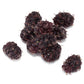 Persian Mulberry Tree - Grow Organic