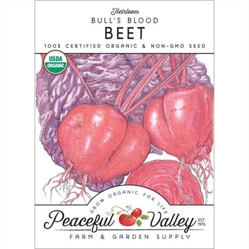 Golden Beets vs Red Beets: Taste, Color & Cooking Tips Guide – Grow Organic