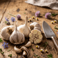 Organic California Late White Garlic (lb) Grow Organic