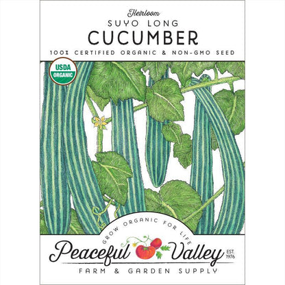 Suyo Long Cucumber Seeds (Organic) Peaceful Valley