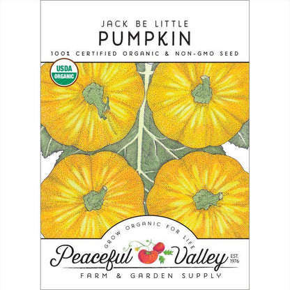 Jack Be Little Pumpkin Seeds (Organic) Peaceful Valley
