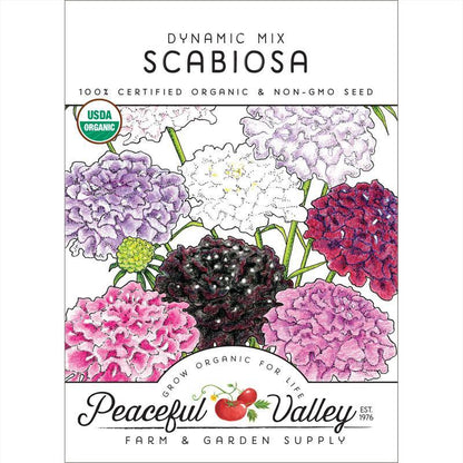 Dynamic Scabiosa Mix (Organic) Peaceful Valley