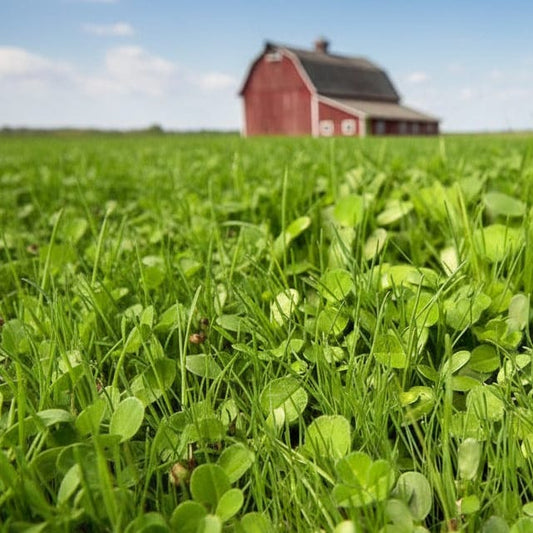 Peaceful Valley High Rainfall Reseeding Mix (lb) PV Drop Ship