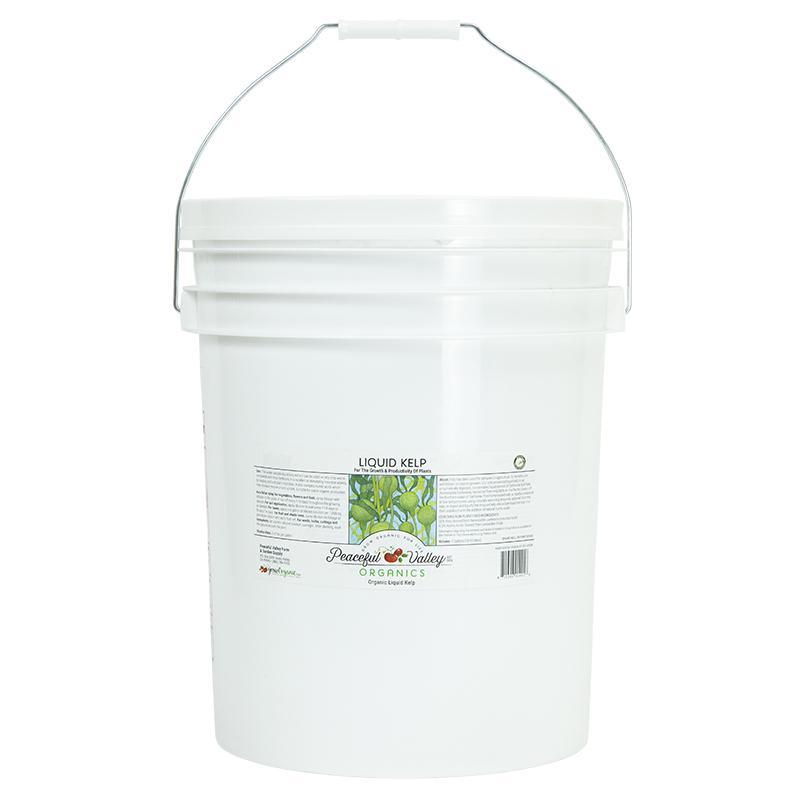 organic liquid seaweed and kelp fertilizer supplement by bloom city Peaceful Valley Organic Liquid Kelp