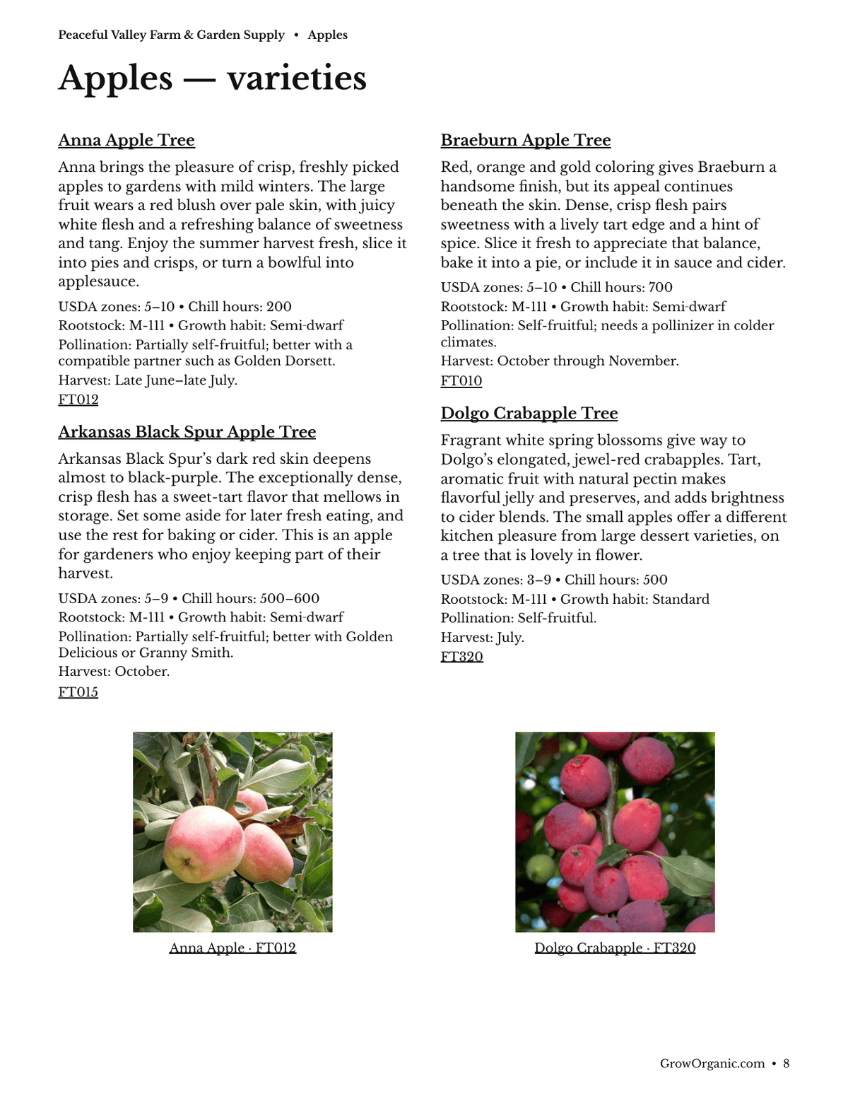 Sample page from the tree catalog showing apple varieties and photographs