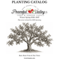 Peaceful Valley Tree Planting Catalog 2026–2027 front cover