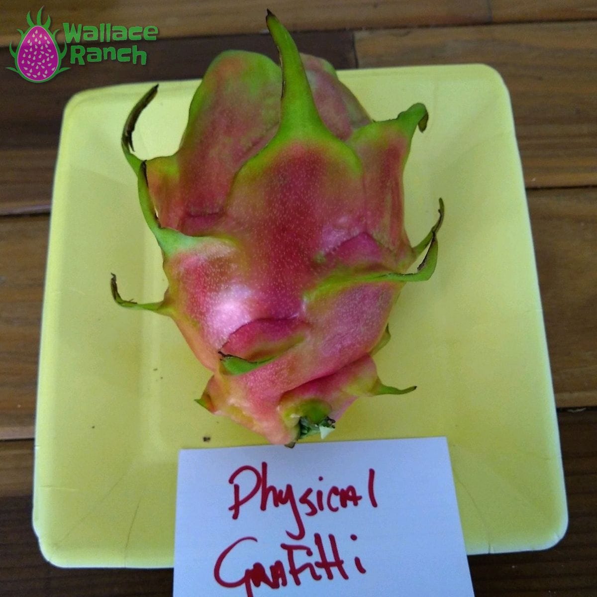 Physical Graffiti 1-S Wallace Ranch Dragon Fruit