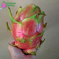Wallace Ranch Bundle Wallace Ranch Dragon Fruit