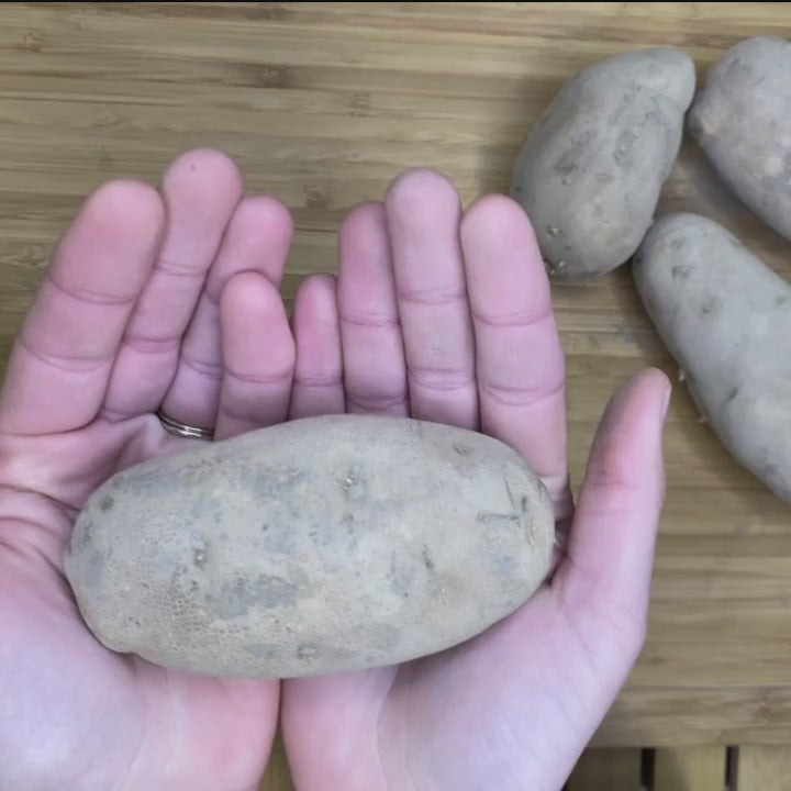Spring-Planted Organic Burbank Russet Seed Potatoes - Grow