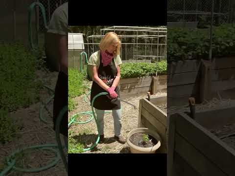 Grow Organic organic fertilizer tips and feeding guidelines