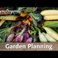 Colander Garden Trug