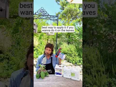 Grow Organic liquid fertilizer tips for healthy garden plants