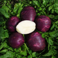 Organic Viking Purple Seed Potato (lb) Grow Organic