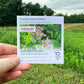 Hudson Valley Seed Company PollinateHV Purplestem Aster organic seed packet
